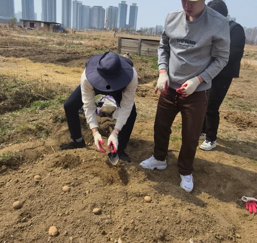 함께하는 활동